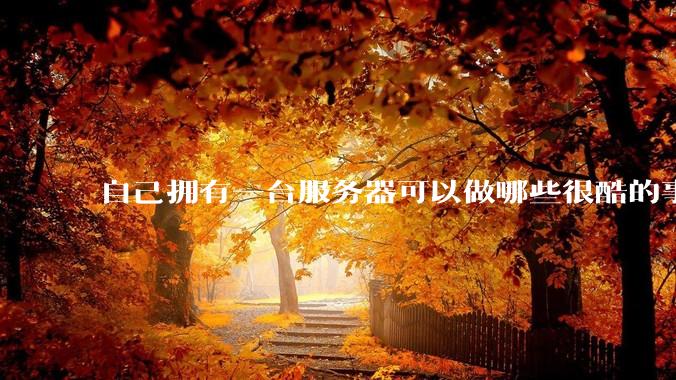 自己拥有一台服务器可以做哪些很酷的事情？