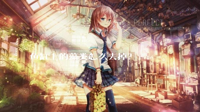 鱼缸上的藻类怎么去掉？