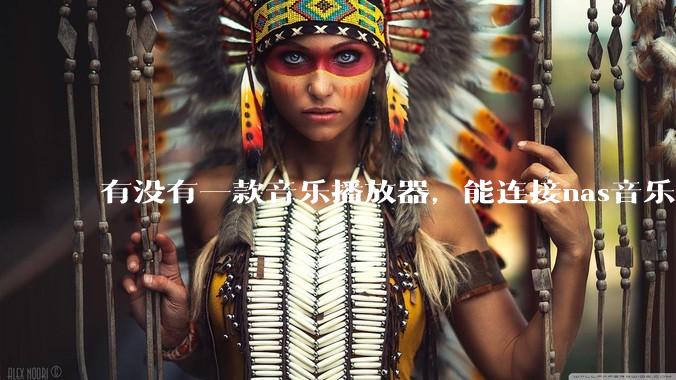 有没有一款音乐播放器，能连接nas音乐，创建音乐库，自动匹配歌词封面等等？类似infuse的概念呢？