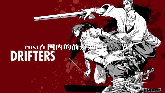 rust在国内的前景如何？