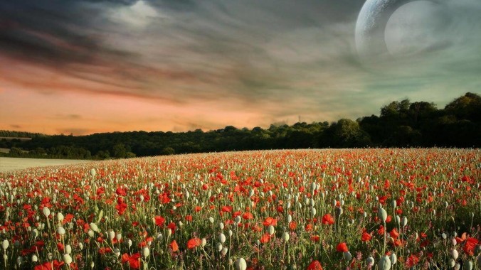 <b>最近突发奇想，想做以NAS为主的家用媒体中心。下面是我做的一个草图，各位大神看看可行吗？</b>